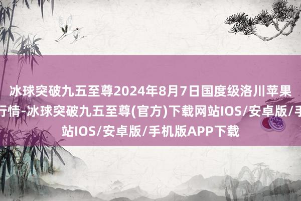 冰球突破九五至尊2024年8月7日国度级洛川苹果批发市集价钱行情-冰球突破九五至尊(官方)下载网站IOS/安卓版/手机版APP下载