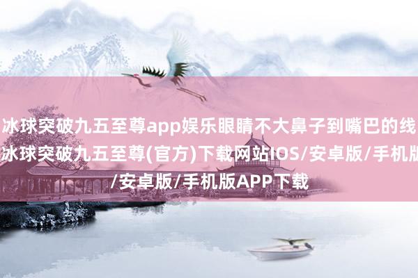 冰球突破九五至尊app娱乐眼睛不大鼻子到嘴巴的线条很赫然-冰球突破九五至尊(官方)下载网站IOS/安卓版/手机版APP下载