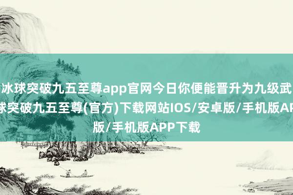 冰球突破九五至尊app官网今日你便能晋升为九级武士-冰球突破九五至尊(官方)下载网站IOS/安卓版/手机版APP下载