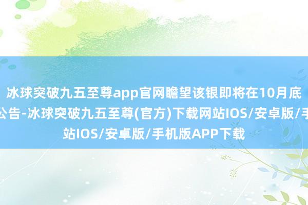 冰球突破九五至尊app官网瞻望该银即将在10月底之前发布干系公告-冰球突破九五至尊(官方)下载网站IOS/安卓版/手机版APP下载