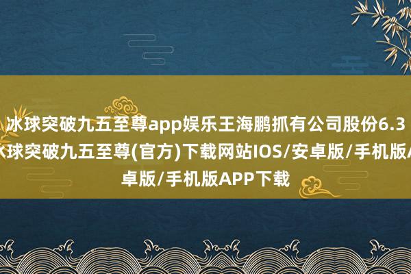 冰球突破九五至尊app娱乐王海鹏抓有公司股份6.34亿股-冰球突破九五至尊(官方)下载网站IOS/安卓版/手机版APP下载