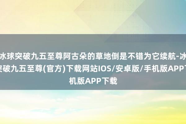 冰球突破九五至尊阿古朵的草地倒是不错为它续航-冰球突破九五至尊(官方)下载网站IOS/安卓版/手机版APP下载