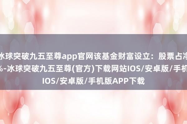 冰球突破九五至尊app官网该基金财富设立：股票占净值比91.37%-冰球突破九五至尊(官方)下载网站IOS/安卓版/手机版APP下载