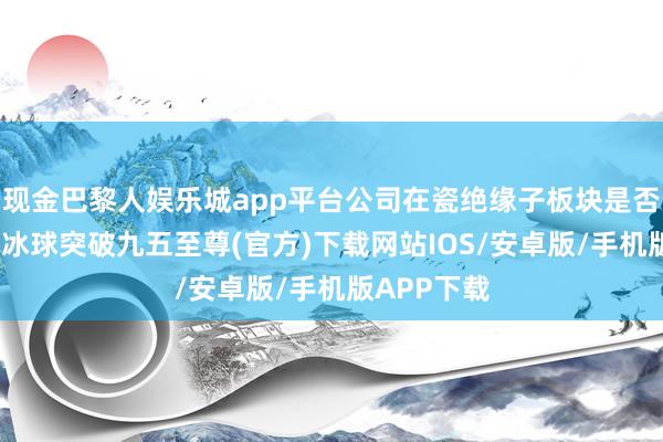 现金巴黎人娱乐城app平台公司在瓷绝缘子板块是否还有增长-冰球突破九五至尊(官方)下载网站IOS/安卓版/手机版APP下载