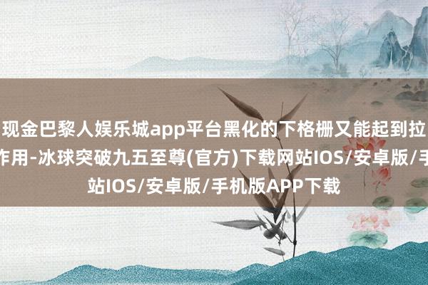 现金巴黎人娱乐城app平台黑化的下格栅又能起到拉低车头重点的作用-冰球突破九五至尊(官方)下载网站IOS/安卓版/手机版APP下载