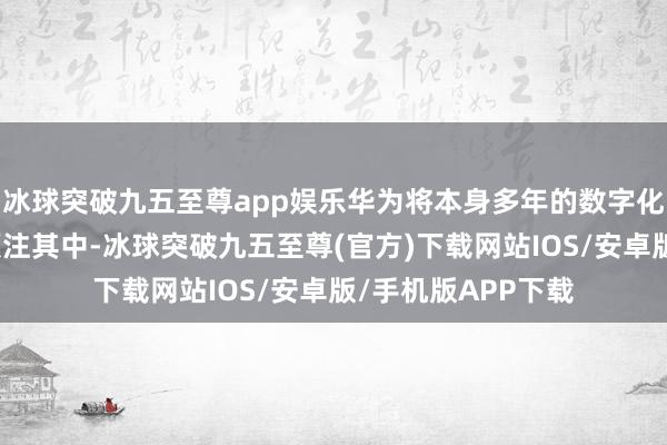 冰球突破九五至尊app娱乐华为将本身多年的数字化转型表面和教育倾注其中-冰球突破九五至尊(官方)下载网站IOS/安卓版/手机版APP下载