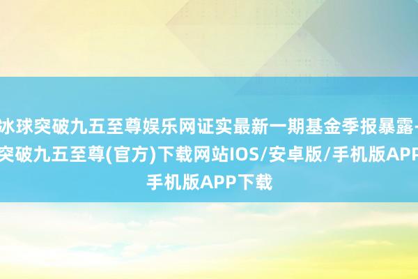 冰球突破九五至尊娱乐网证实最新一期基金季报暴露-冰球突破九五至尊(官方)下载网站IOS/安卓版/手机版APP下载