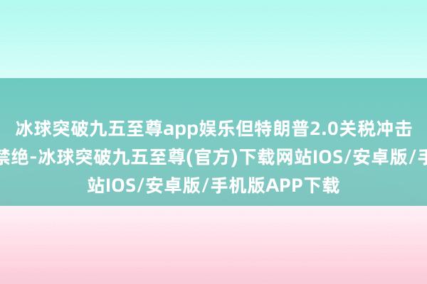 冰球突破九五至尊app娱乐但特朗普2.0关税冲击或成为不竭的禁绝-冰球突破九五至尊(官方)下载网站IOS/安卓版/手机版APP下载