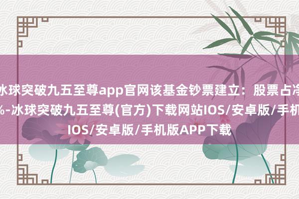 冰球突破九五至尊app官网该基金钞票建立：股票占净值比87.72%-冰球突破九五至尊(官方)下载网站IOS/安卓版/手机版APP下载